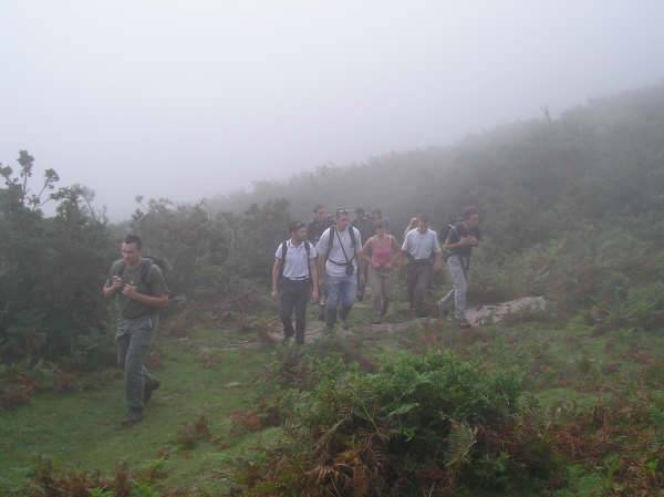 GPN promo 2008